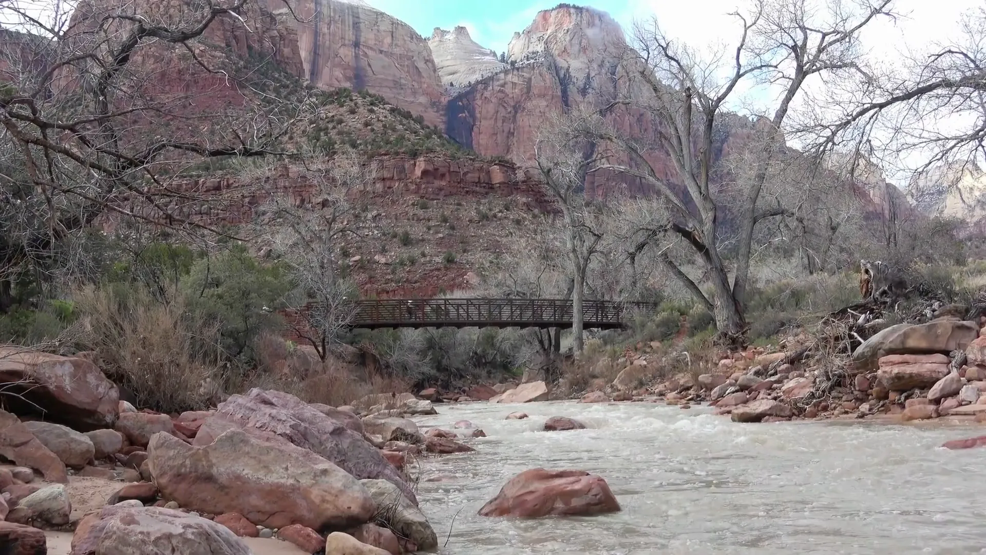 View from Angel's Landing