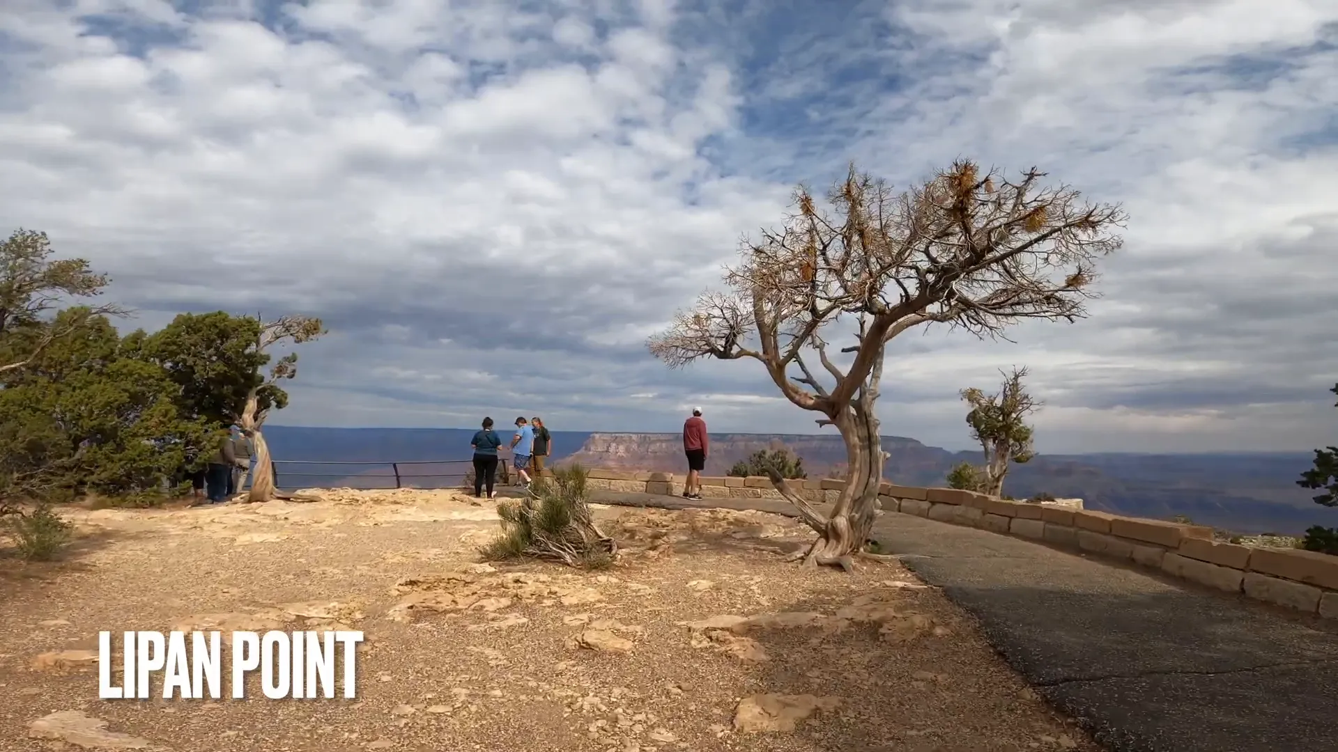Lipan Point view