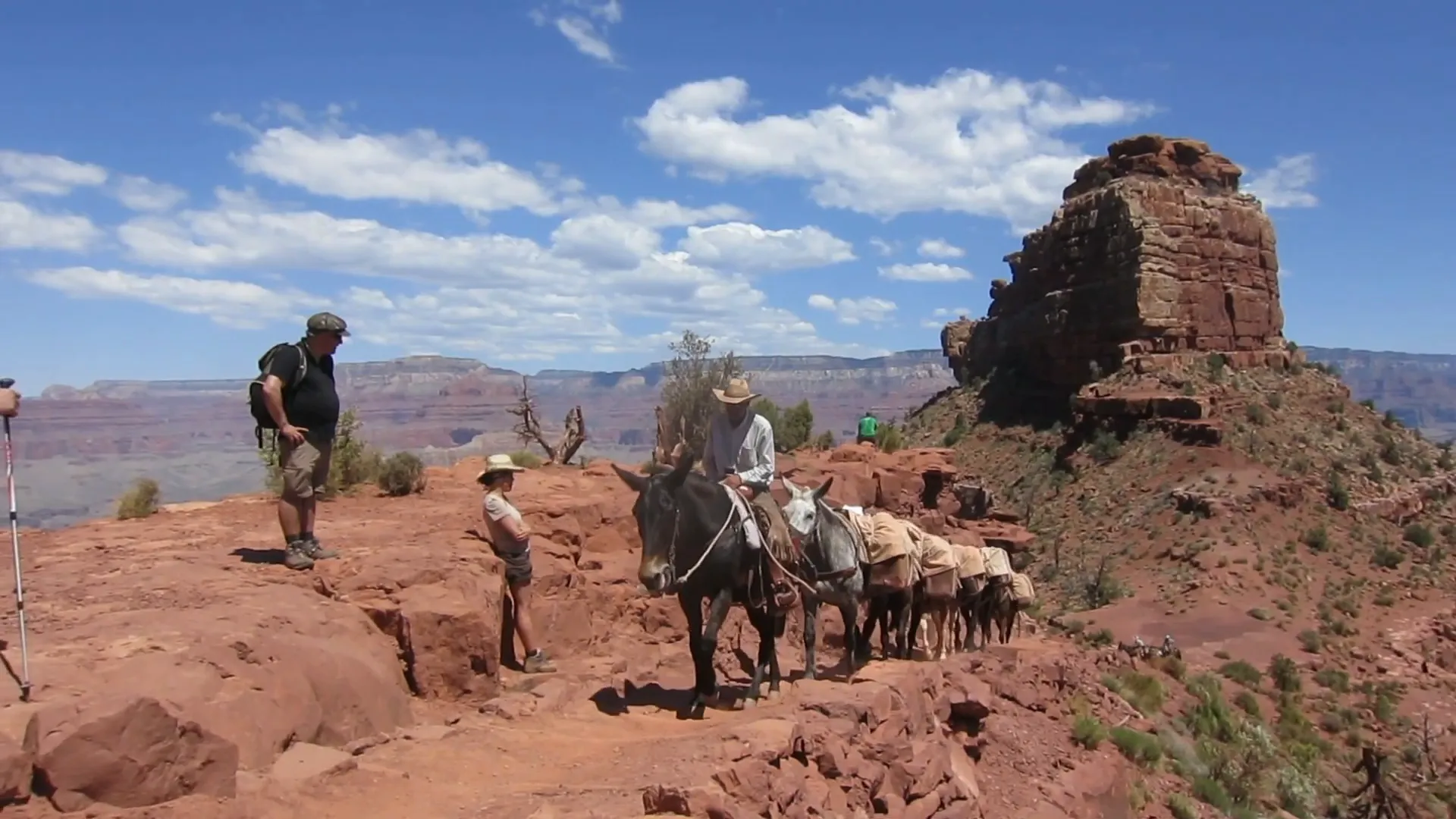 Mule train on Bright Angel Trail with hikers stepping aside