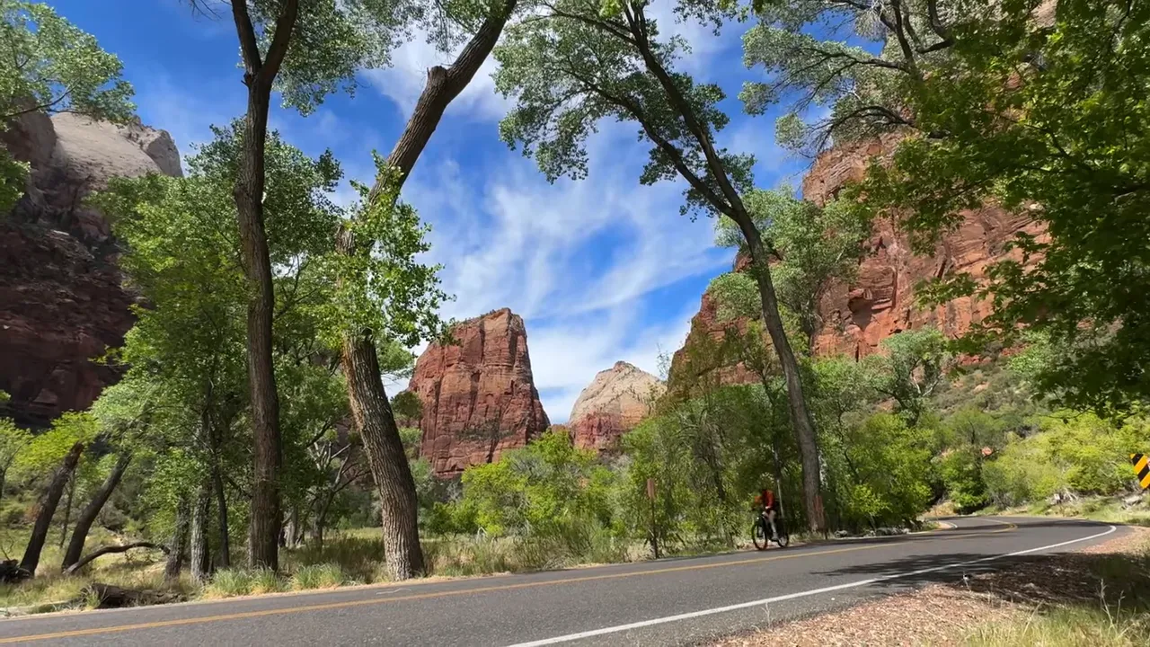 Cyclist riding on the Zion Canyon road with red cliffs, trees, and blue sky