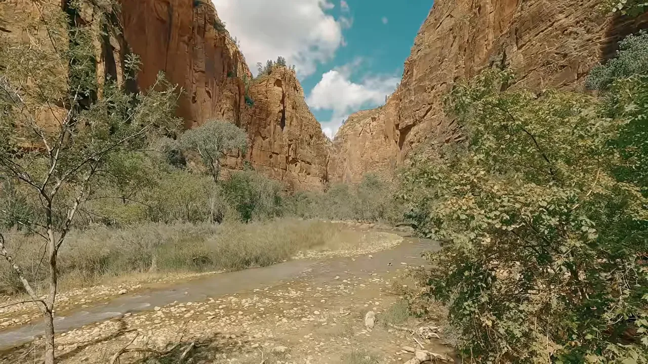 The Virgin River flowing through a wide canyon with tall sandstone cliffs and trees along the riverbank