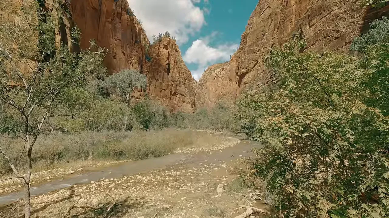 Wide shot of the Virgin River curving through Zion Canyon with tall sandstone cliffs and riparian trees